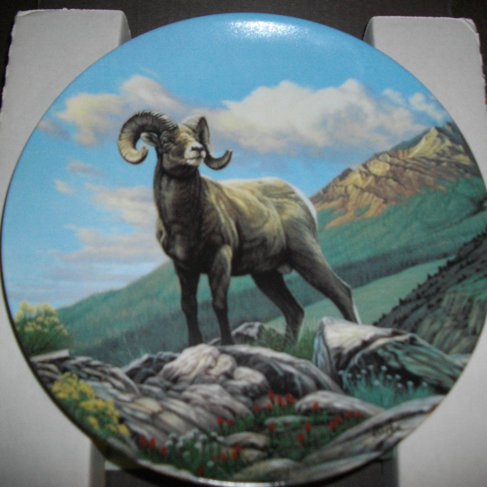 collectable plate